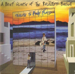 Various - A Brief Glimpse Of The Relentless Pursuit (CD)
