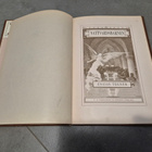 Nattwardsbarnen (kuv. 1881) - pikkukuva 2
