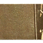 Purkkakuva MONKEES n:o 40 1967 Purukumikuva - pikkukuva 2
