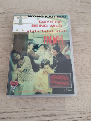 Days of being wild (1990)