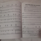 RED HOT CHILI PEPPERS : what hits, NUOTTIKIRJA !! - pikkukuva 4