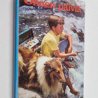 Arthur S. Maxwell : Onnen päiviä 3 - pikkukuva 1