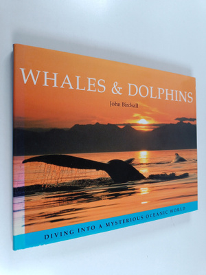 John Birdsall : Whales & dolphins : Whales and dolphins