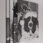 Landseer vuosikerta 2003 (1-4) - pikkukuva 1