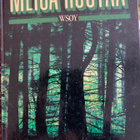 METSÄ HUUTAA - pikkukuva 1