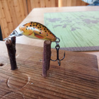 Salmo Hornet 2 - pikkukuva 2