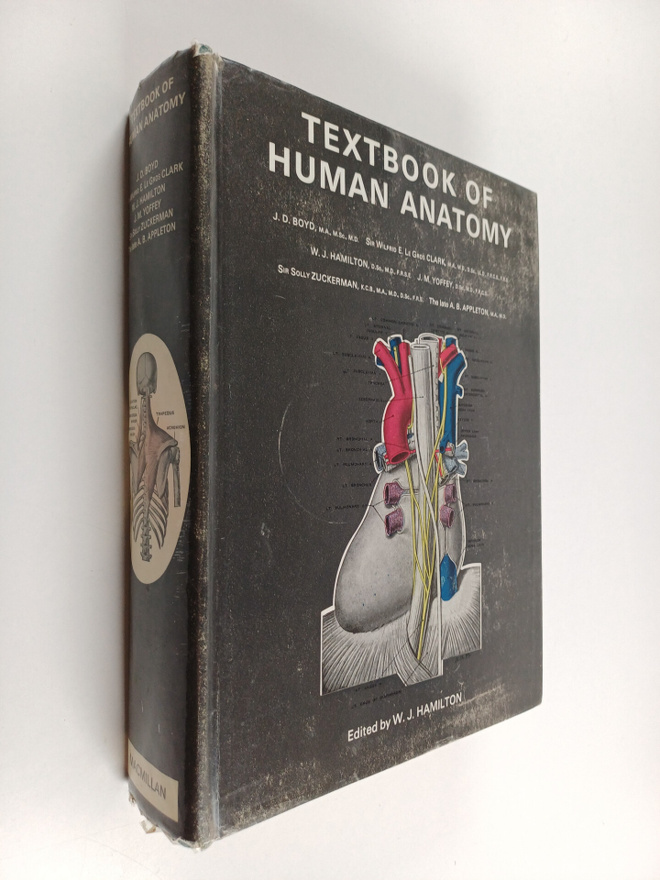 J. D. Boyd : Textbook of human anatomy