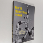 Positive organizational behavior - pikkukuva 1