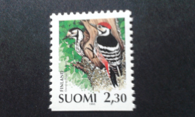 1993 valkoselkätikka 2,3mk**