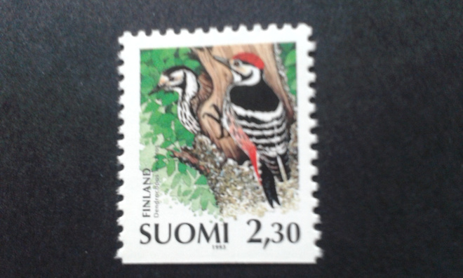 1993 valkoselkätikka 2,3mk**