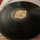 T.REX: Bolan Boogie * GER 1972 - pikkukuva 3