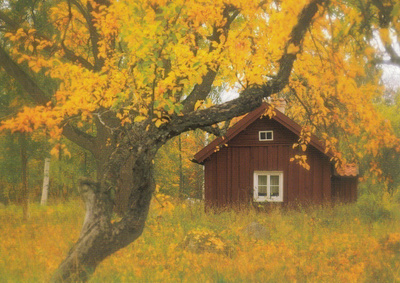 Jorma Jämsen: Syksy