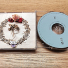 CMX - Dinosaurus Stereophonicus 2xCD - pikkukuva 3