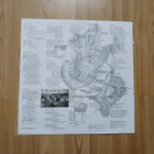 Ärwäke – Ärwäke lp orig 1991 Art Rock, Alternative Rock - pikkukuva 4