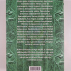 Robert Holdstock : Rautagraali - pikkukuva 2