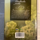 Karen Kingsbury - Uskollinen sydän; Petollisella jäällä - pikkukuva 2