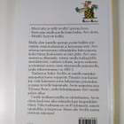 Mari Mörö : Patentti-Arvi - pikkukuva 2