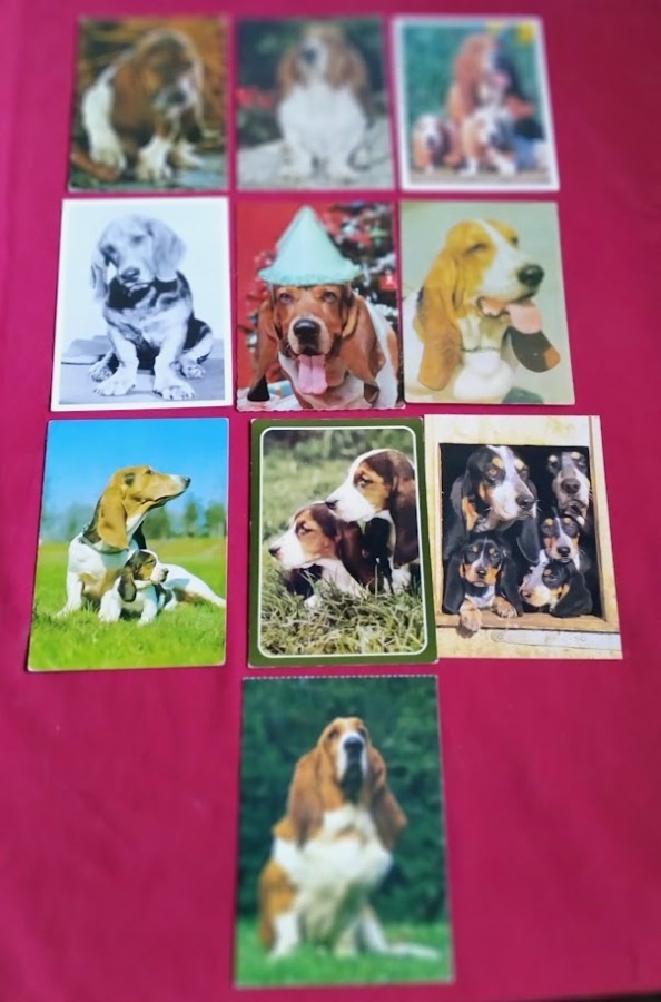 10 BASSET  POSTIKORTTIA