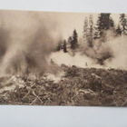 Vilppula Hakkuualan kulottaminen - 1930 - pikkukuva 1