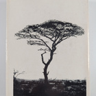 David F. Horrobin : A Guide to Kenya and Northern Tanzania - pikkukuva 2