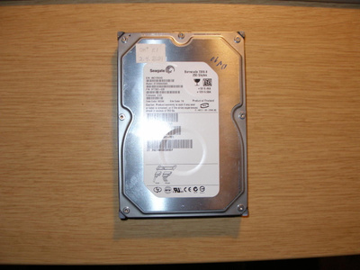 Seagate Barracuda 7200.8, 250 GB, SATA, 3,5"