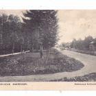VANHA Postikortti Ahvenanmaa Maarianhamina Åland 1900-l - pikkukuva 1