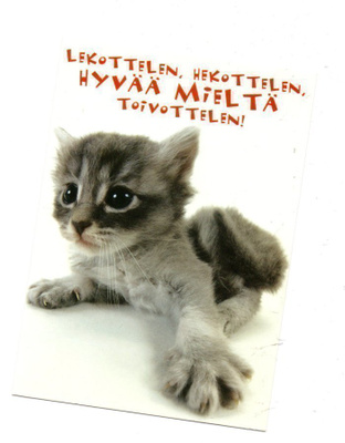 Kissa... °°HYVÄÄ MIELTÄ TOIVOTTELEN....°° -KORTTI /Karto
