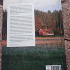 Green Kitchen Stories David Frenkiel & Luise Vindahl - pikkukuva 2