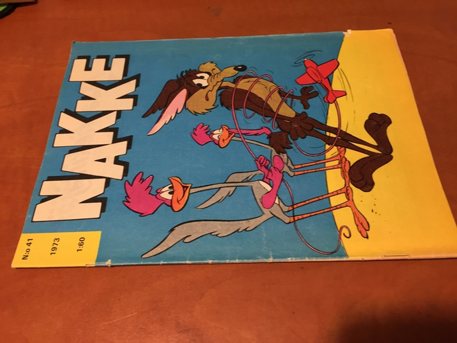 NAKKE LEHTI 41/1973 HYVÄ