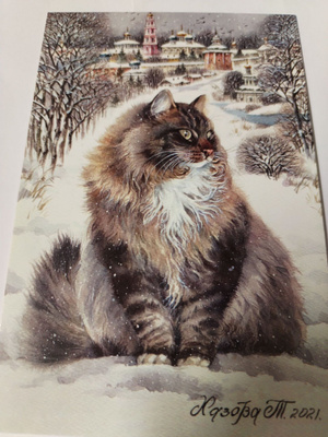 Kissa kortti, kulkematon.