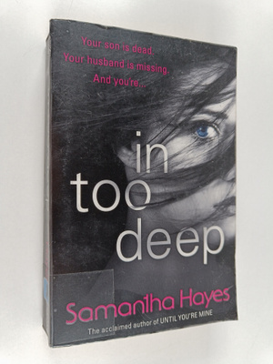 Samantha Hayes : In Too Deep