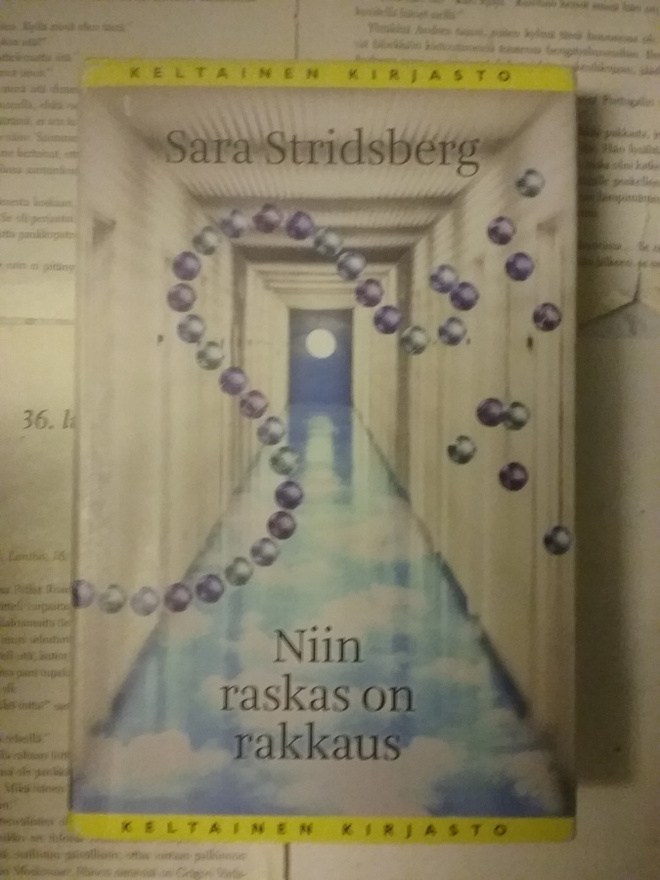 Sara Stridsberg - Niin raskas on rakkaus (sid.)