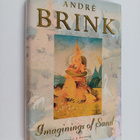 Andre Brink : Imagining of sand - pikkukuva 1