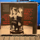 P!NK - Try This cd - pikkukuva 2