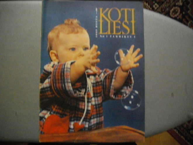 Kotiliesi Nro 1/1963 (15.3)