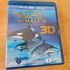 Dolphins and Whales 3D: Tribes of the Ocean (Blu-ray 3D/BD) - pikkukuva 1