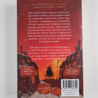 Matt Haig : Tyttö joka pelasti joulun - pikkukuva 2