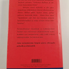 Anne Tyler : Amerikan lapset - pikkukuva 2