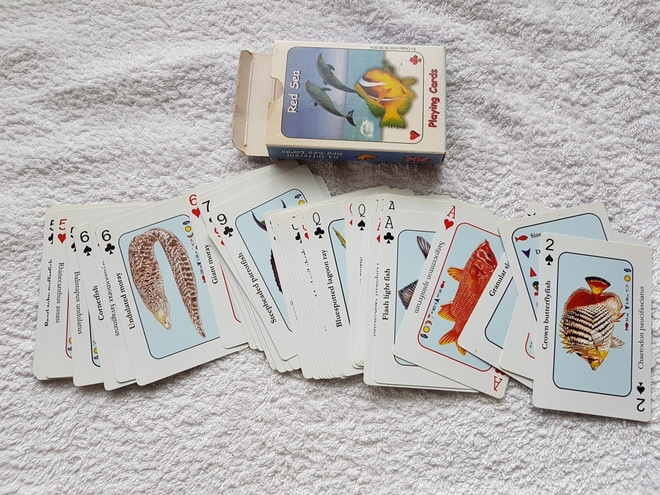 Red sea  playing cards Pelikortit