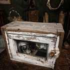 Uniikki käsintehty Wunderkammer – kuriositeettivitriini - pikkukuva 1