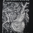 Bändipaita : Paradisee Lost - Faith Divides Us.. XL - pikkukuva 2