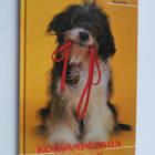 Ann Head : Koiranpennun oppitunti - pikkukuva 1
