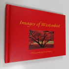 Derek Harris : Images of Westonbirt - pikkukuva 1