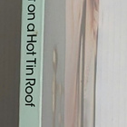 Tennessee Williams - Cat on a Hot Tin Roof - pikkukuva 2