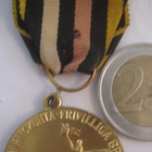 VANHA Mitali Palokunta VPK Turku 1838-1938 Erik Julin Sig.GQ - pikkukuva 2