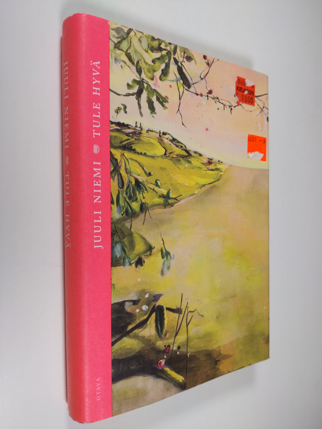 Juuli Niemi : Tule hyvä : novelleja