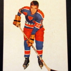 Jukka Haanpää Porin Karhut Champion 1966 - pikkukuva 1
