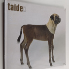 Taide 6/2005 - pikkukuva 1
