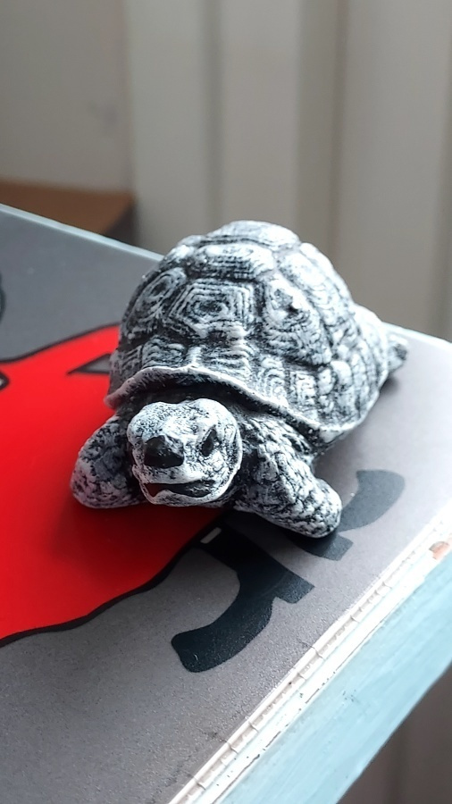 BETONINEN MINIATYYRI KILPIKONNA