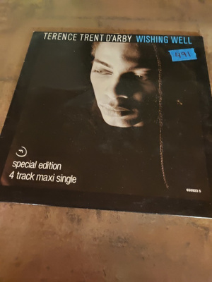 Terence Trent D'Arby - Wishing Well